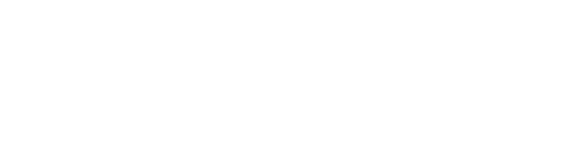TAINF — Tecnologías Avanzadas de Información